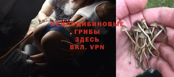 mix Козельск