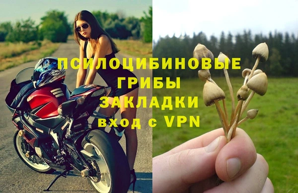 СК Кодинск