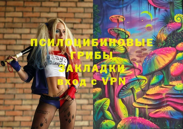 mix Козельск