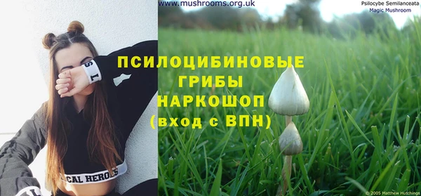 СК Кодинск